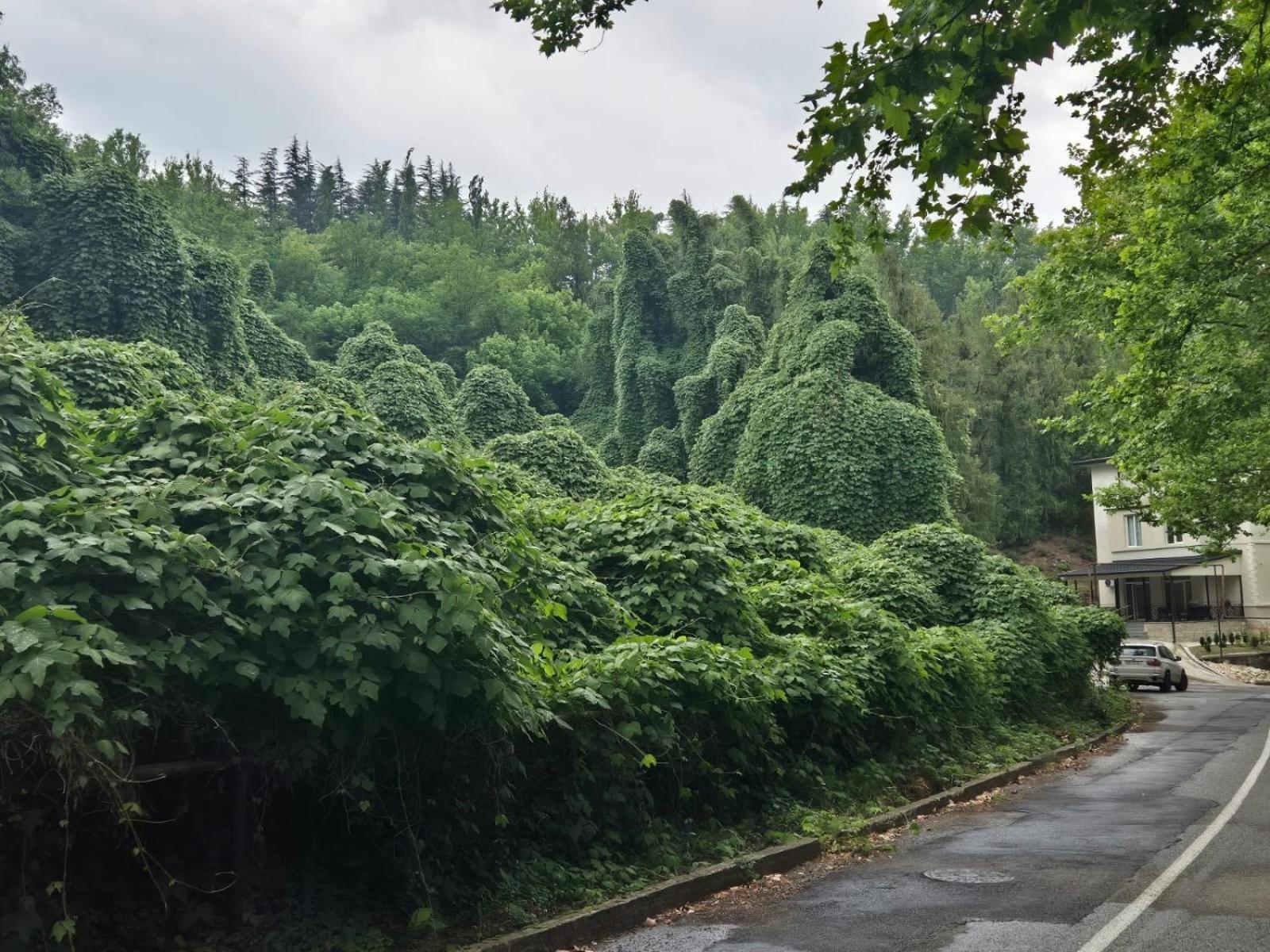 Tskaltubo Apartments Zewnętrze zdjęcie